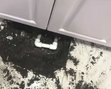 浠水查漏水哪家好